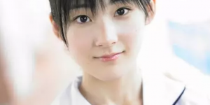 <?php the_title(); ?>