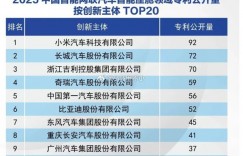 【EV扑克】小米汽车座舱与电机专利进入国内前三 仅次于这两家