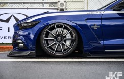 【EV女孩】「最辣爆乳揮旗女郎」現身TMC汽車嘉年華，「超強火辣車頭燈」氣氛嗨到極點！